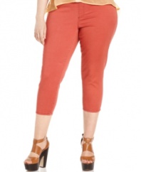 Be totally on-trend with American Rag's plus size jeggings, finished by an orange wash-- they're must-haves!