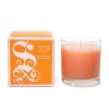 The sweet nectar of honeysuckle combined with the floralcy of paperwhites is accentuated with bitter orange and sun-drenched mandarin. Classic Candle burns approximately 45 hours.