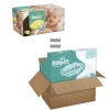 Pampers Swaddlers Diapers Ebulk Pack Size 2 248 Count