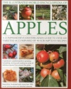 The Illustrated World Encyclopedia of Apples: A comprehensive identification guide to over 400 varieties accompanied by 60 scrumptious recipes