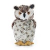 Osmond Horned Owl 6.5 by Aurora
