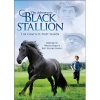 The Adventures of The Black Stallion: The Complete First Season