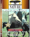 Cloud: Wild Stallions of the Rockies / Cloud's Legacy: The Wild Stallion Returns (Double Feature)