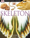 DK Eyewitness Books: Skeleton