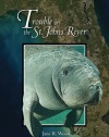 Trouble on the St. Johns River (Mom's Choice Awards Winner 2009)