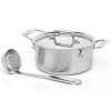 All-Clad BD553033 D5 Brushed 18/10 Stainless Steel 5-Ply Bonded Dishwasher Safe Soup Pot with Lid and Ladle Cookware, 3-Quart, Silver