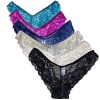 Women's Premium Nylon Soft Sheer Lace Panels Invisible Hipster Panties ,6 Pack