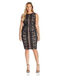 Adrianna Papell Women's Plus Size Embroidered Directional Striped Lace Dress